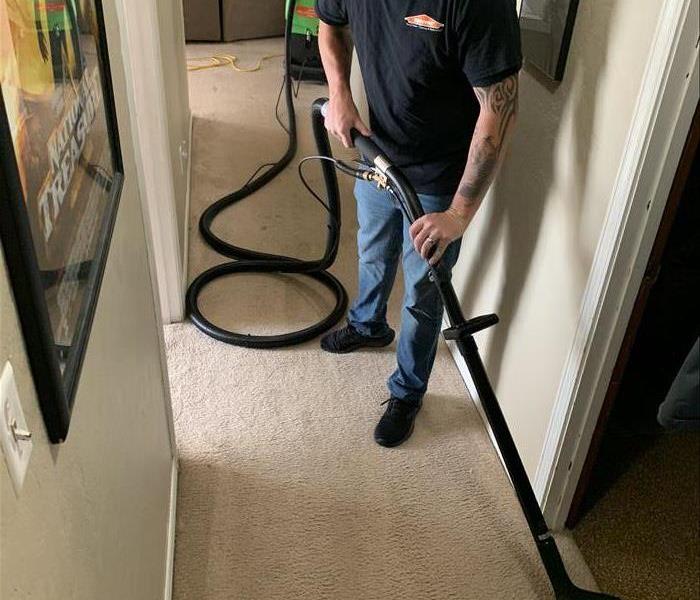 Carpet Cleaning