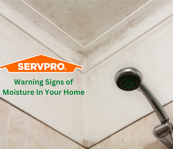 The professionals at SERVPRO of Downtown Atlanta can help you detect and remove moisture damage in your home before it's too 